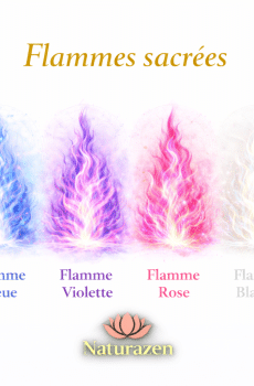 Formation Flammes Sacrées