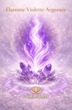 Formation Flamme Violette Argentée