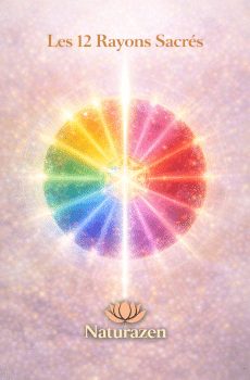 Formation Les 12 Rayons Sacrés