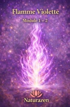 Formation Flamme Violette Niveau 1