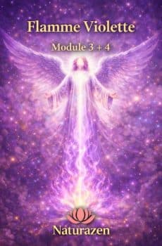 Formation Flamme Violette Niveau 3